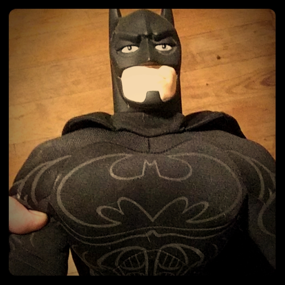 1995 Hasbro Batman